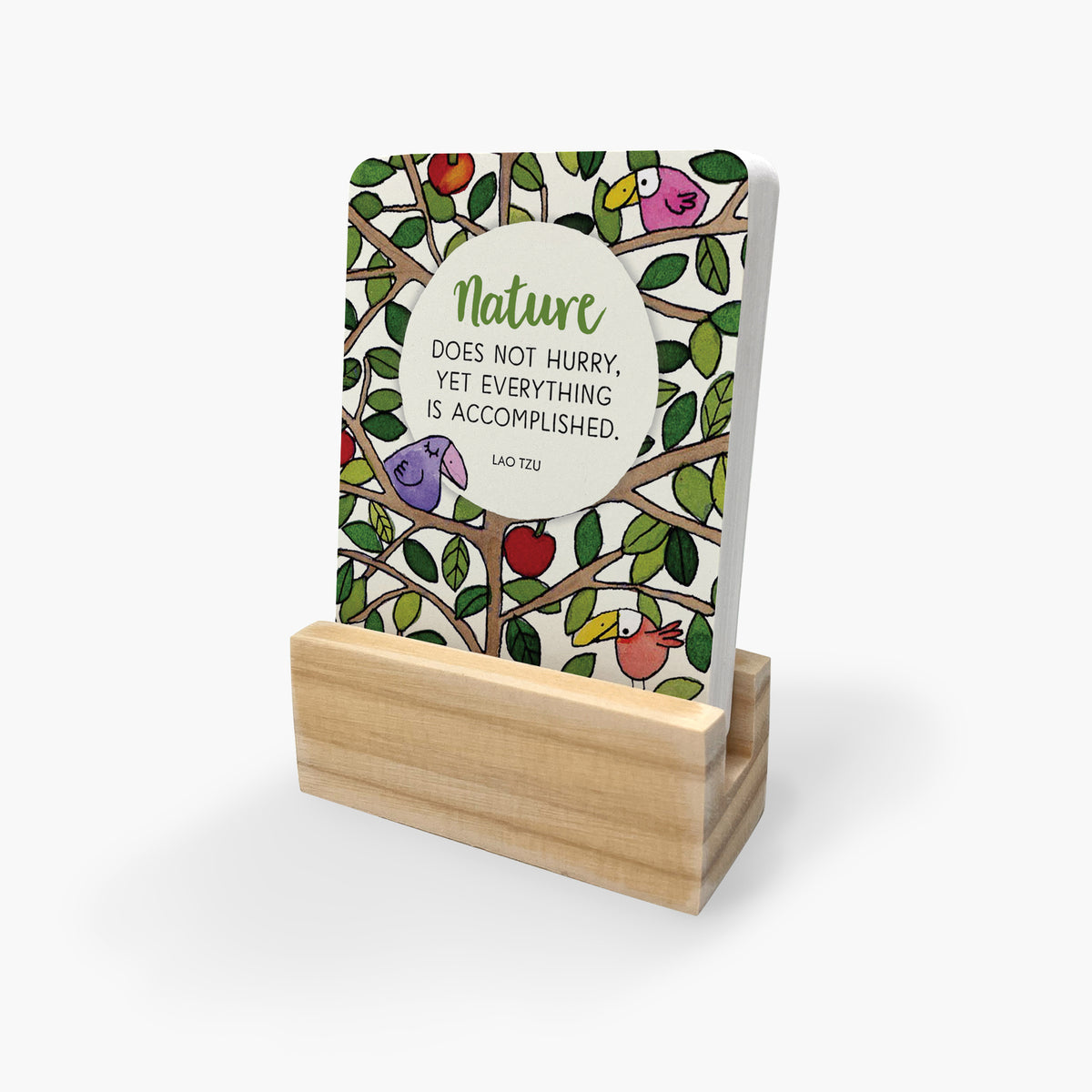 Little Affirmations Cards - Twigseeds Seeds of Truth