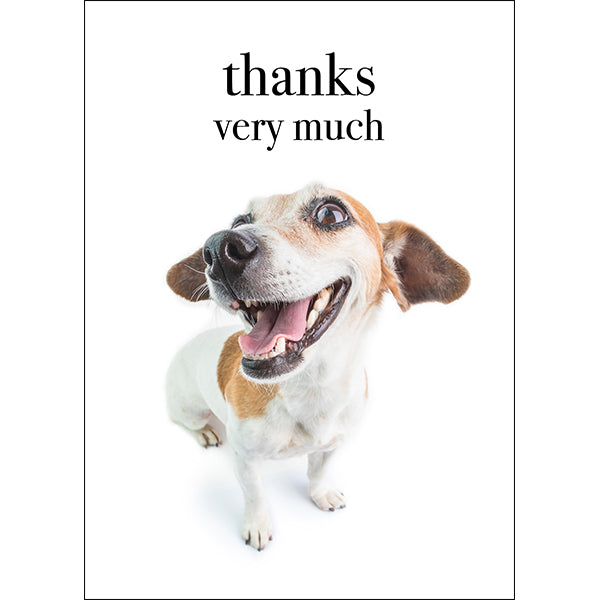 Animal Affirmations Card - Thanks Very Much (Dog)