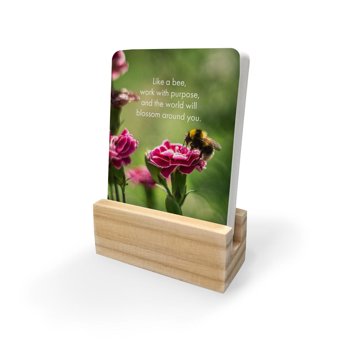 Little Affirmations Cards - Bee You