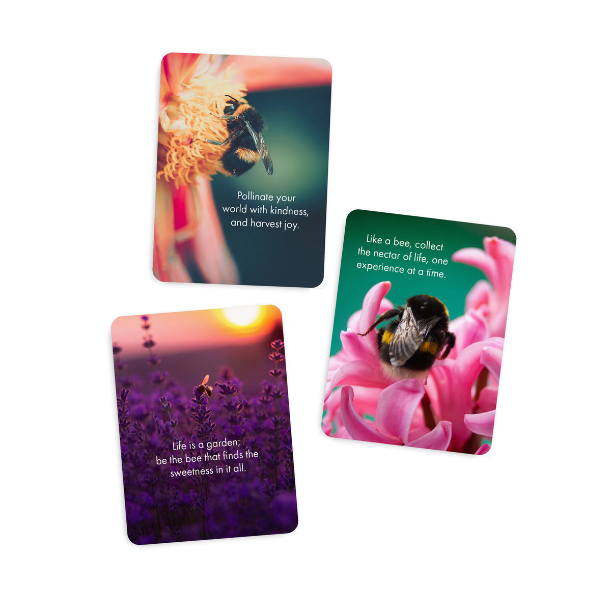 Little Affirmations Cards - Bee You