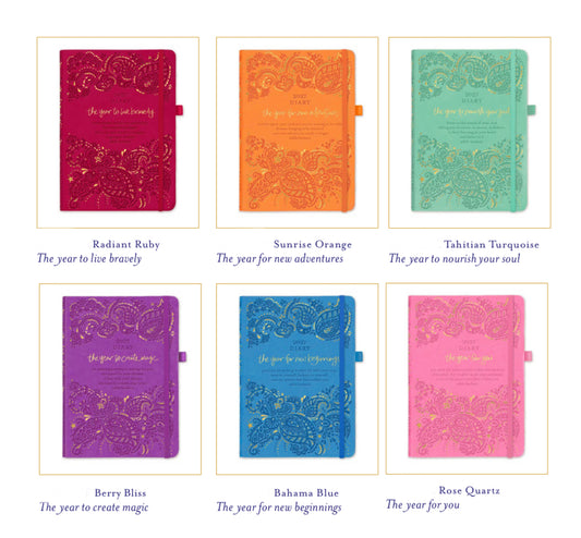 Intrinsic 2027 Diary