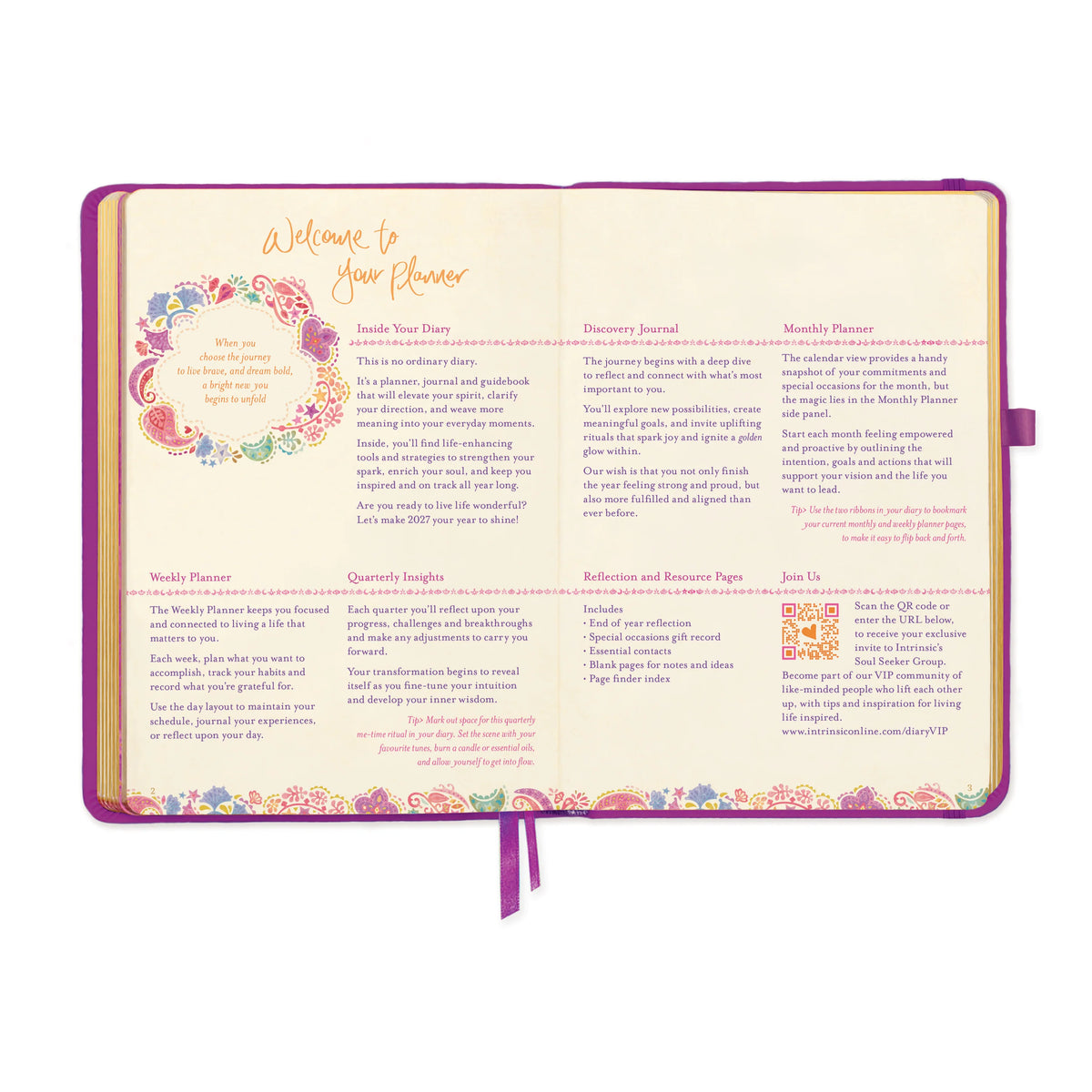 Intrinsic 2027 Diary