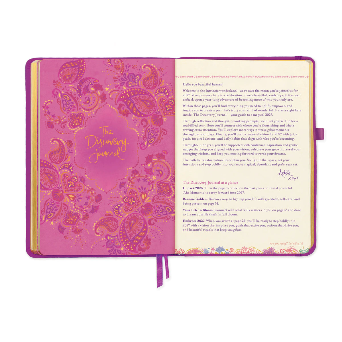 Intrinsic 2027 Diary