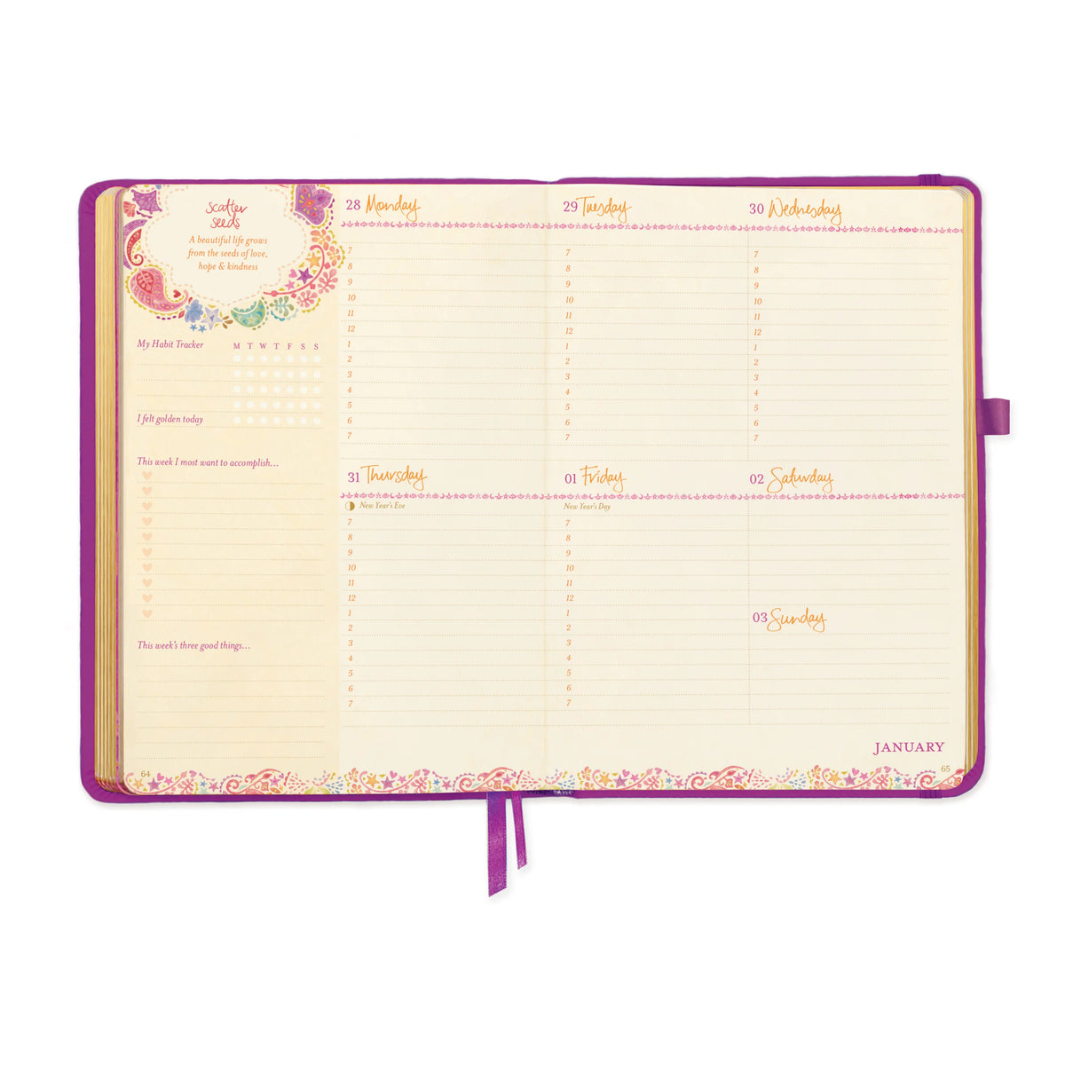 Intrinsic 2027 Diary