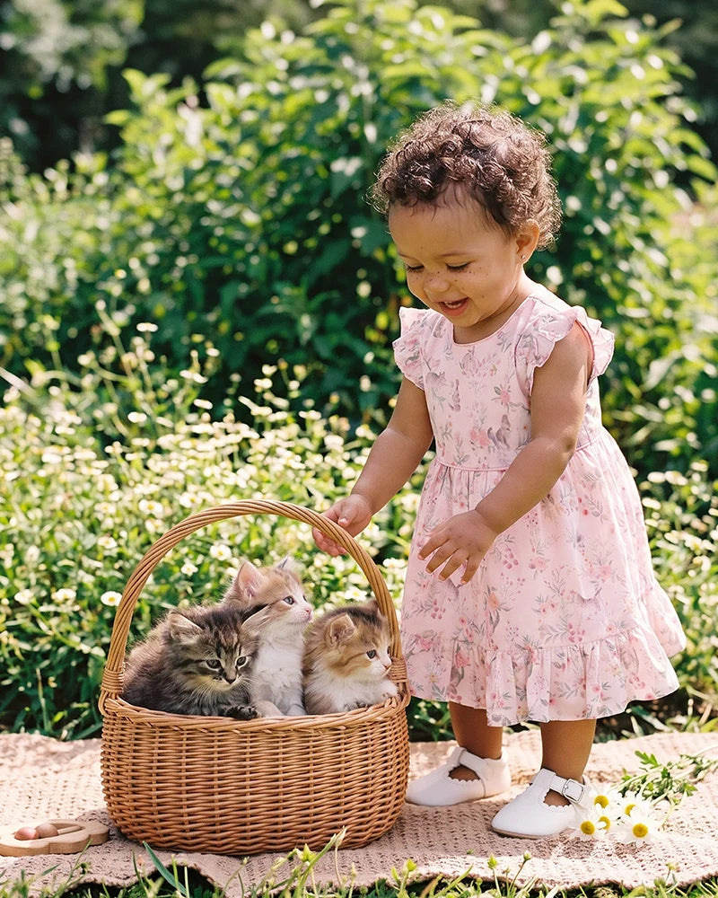 Willa Kitten Dress
