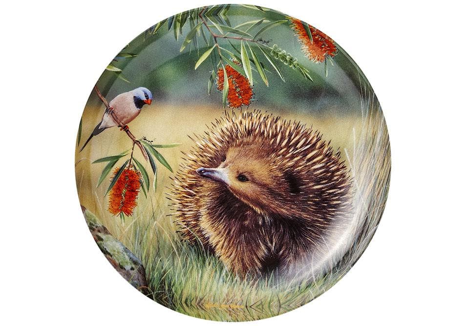 Fauna of Aus - Echidna & Finch Trinket Dish
