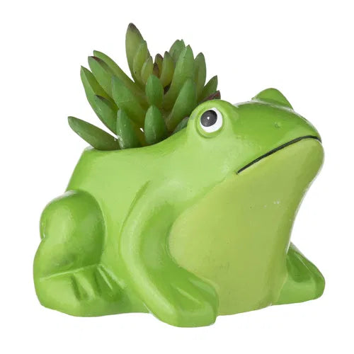 Plants Gone Wild Planter Pot - Frog