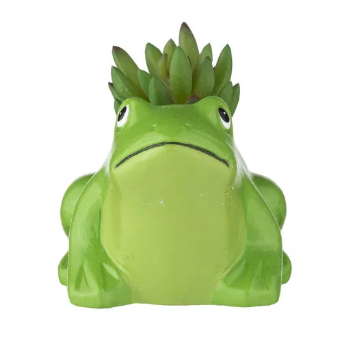 Plants Gone Wild Planter Pot - Frog