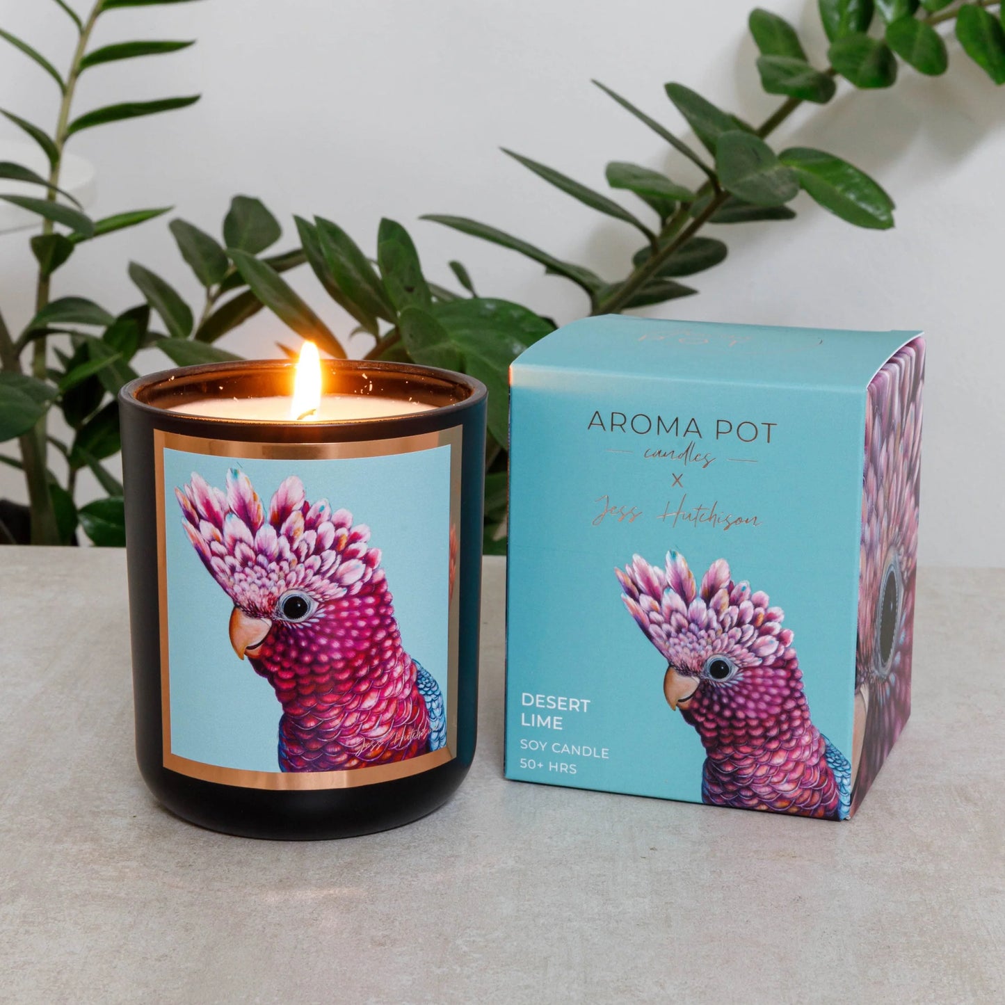 Aroma Pot Candle - Desert Lime (Galah)