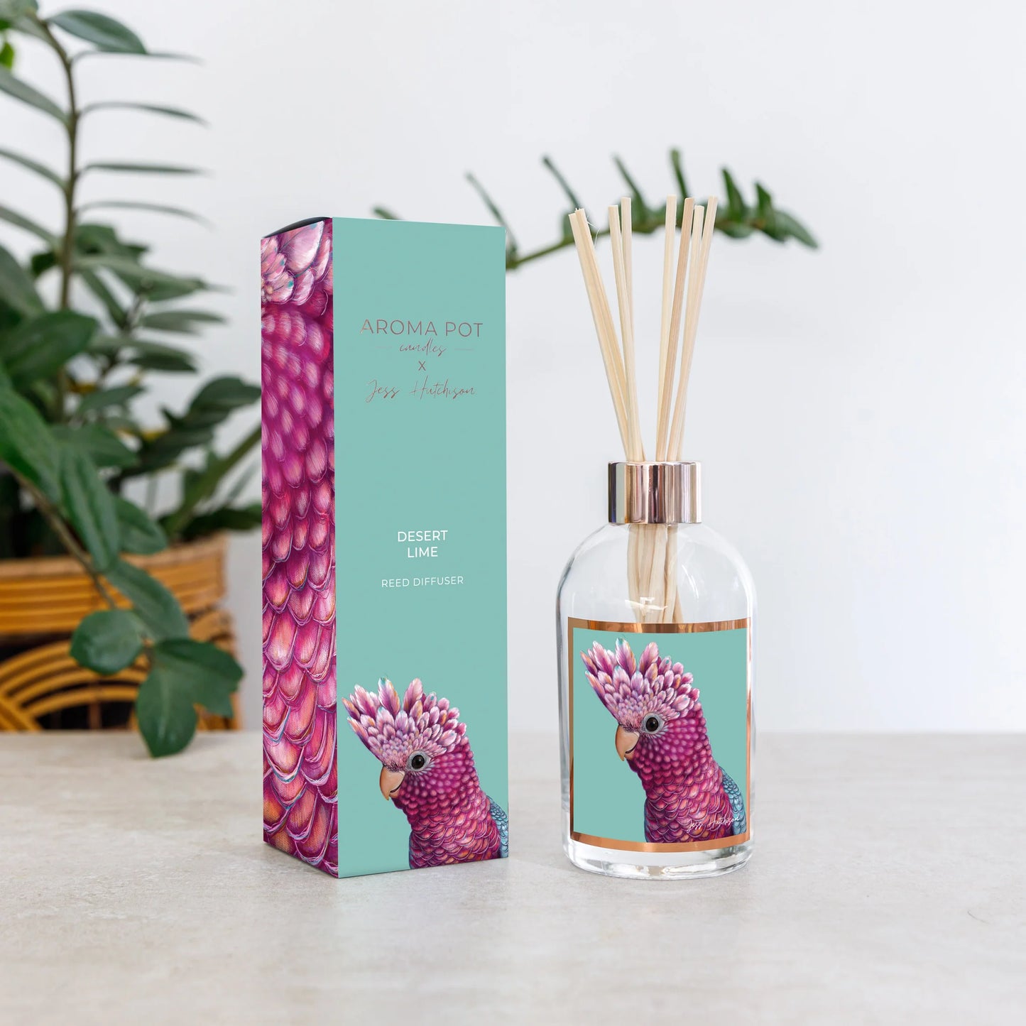 Aroma Pot Diffuser - Desert Lime (Galah)