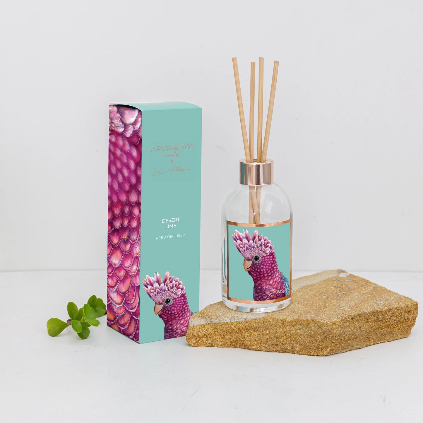 Aroma Pot Diffuser - Desert Lime (Galah)