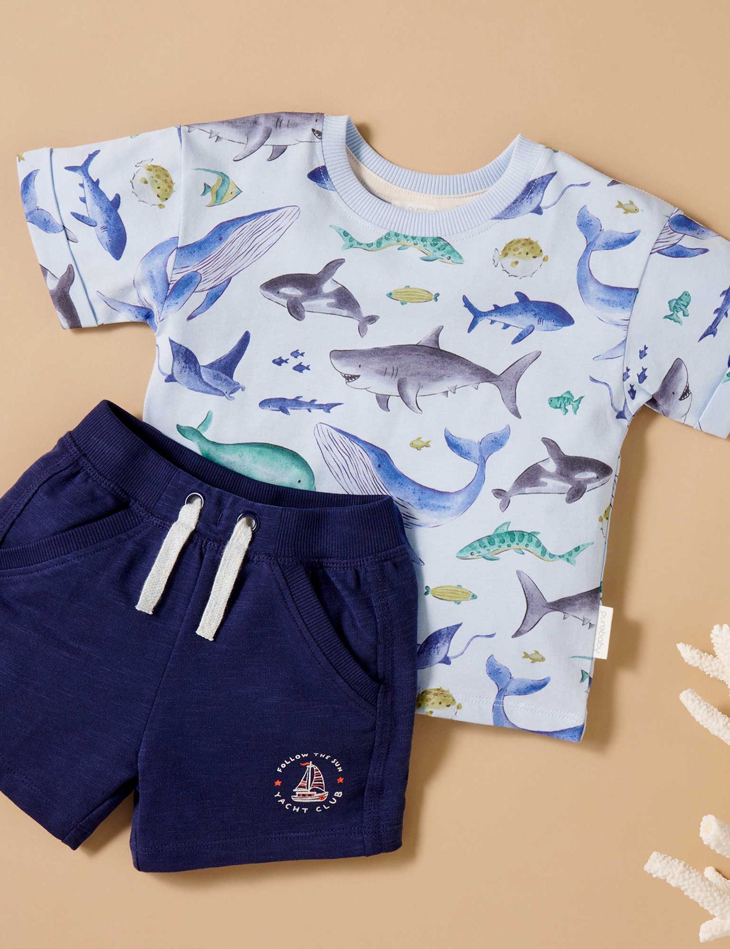 Sea Animals Relaxed Tee