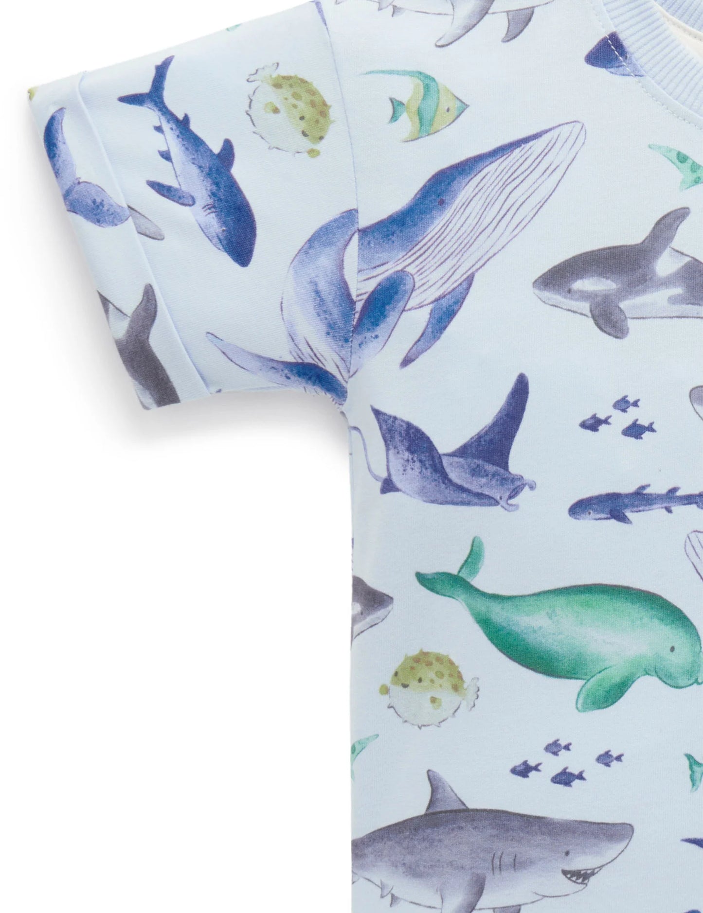 Sea Animals Relaxed Tee
