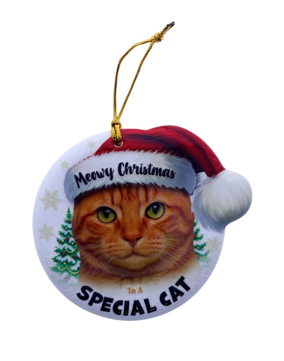 Christmas Sentiment Hanging Plaque - Ginger Cat