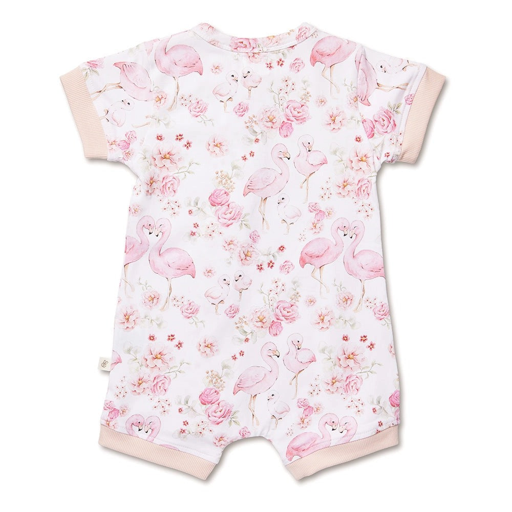 Flamingos Organic Snuggle Shortie