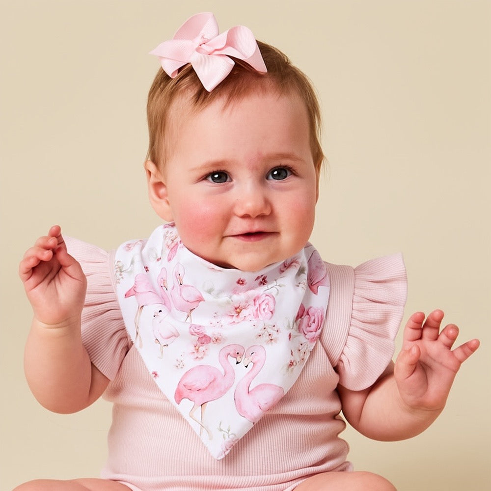 Flamingos Organic Dribble Bib