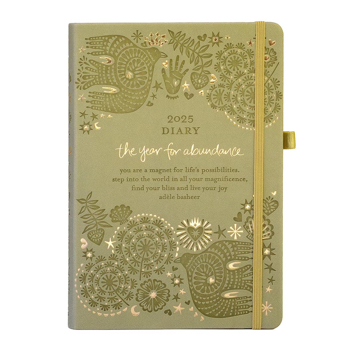 Intrinsic 2025 Diary