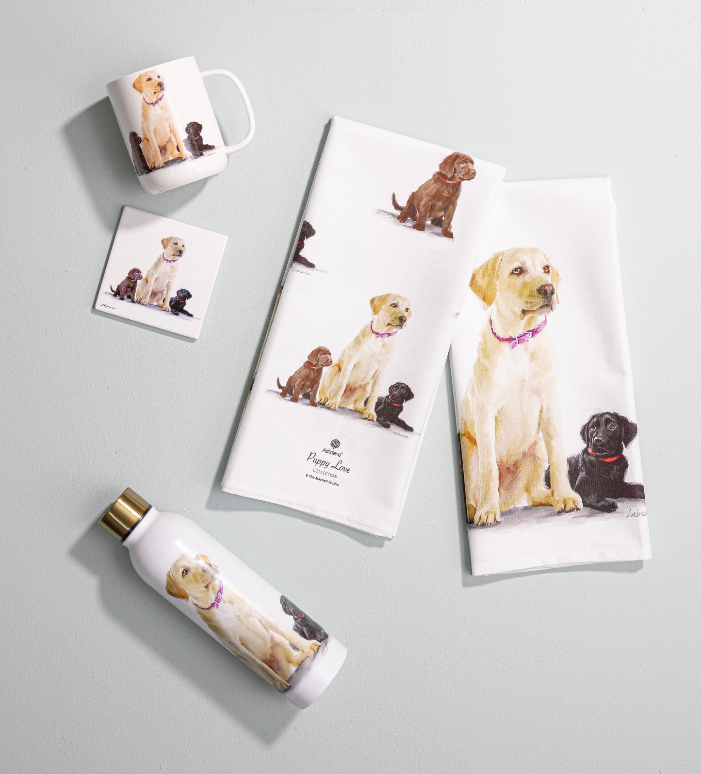 Puppy Love - Labrador Ceramic Coaster