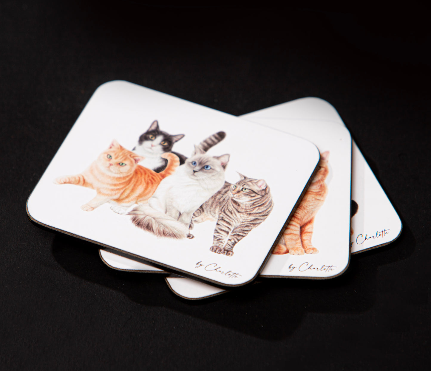 Purrrfect Moments - Coaster 6PK
