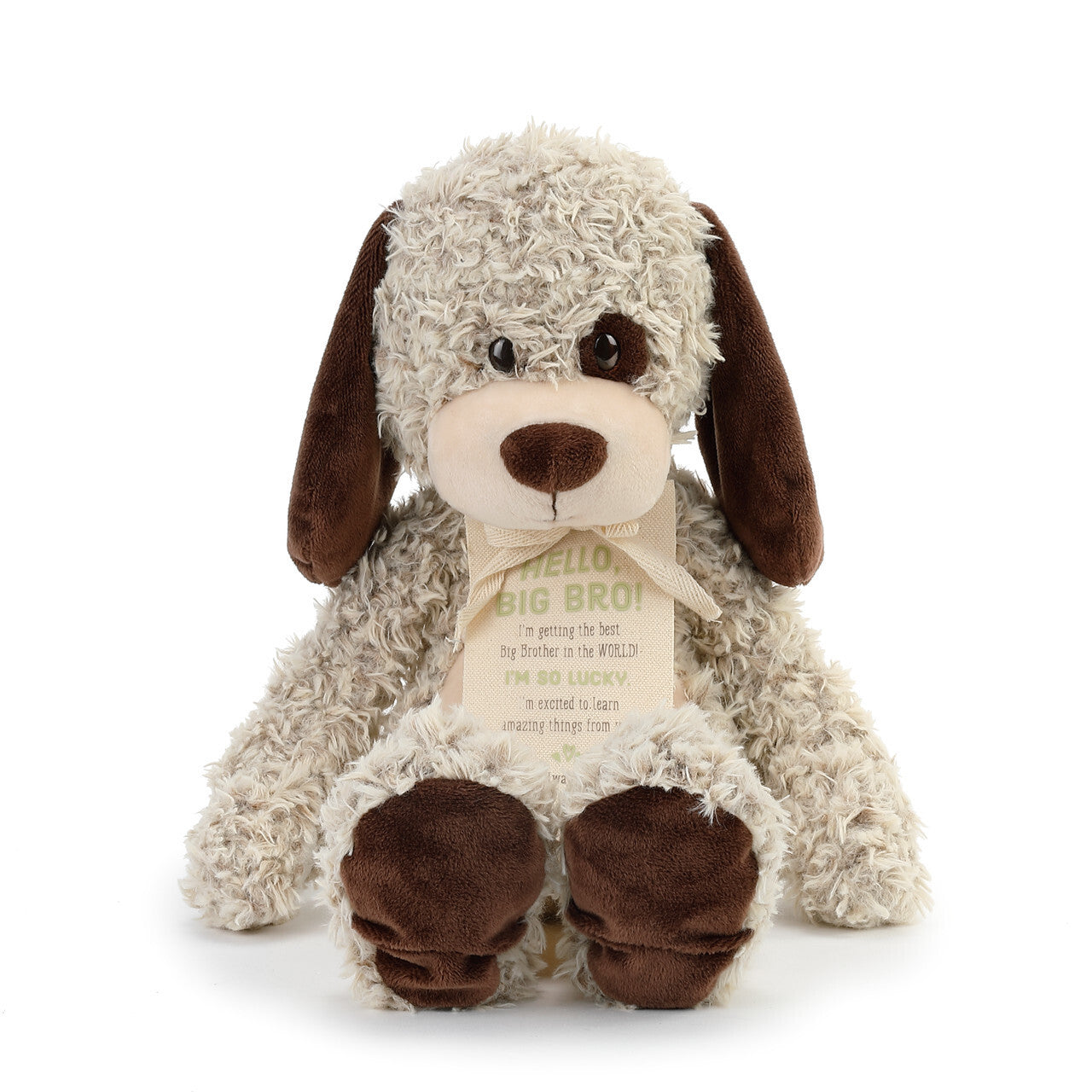 Gift From New Baby - Hello, Big Bro! Puppy
