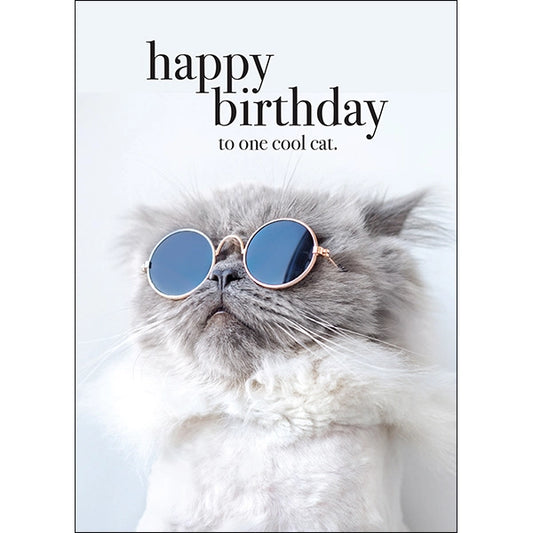 Animal Affirmations Card - Happy Birthday to One Cool Cat