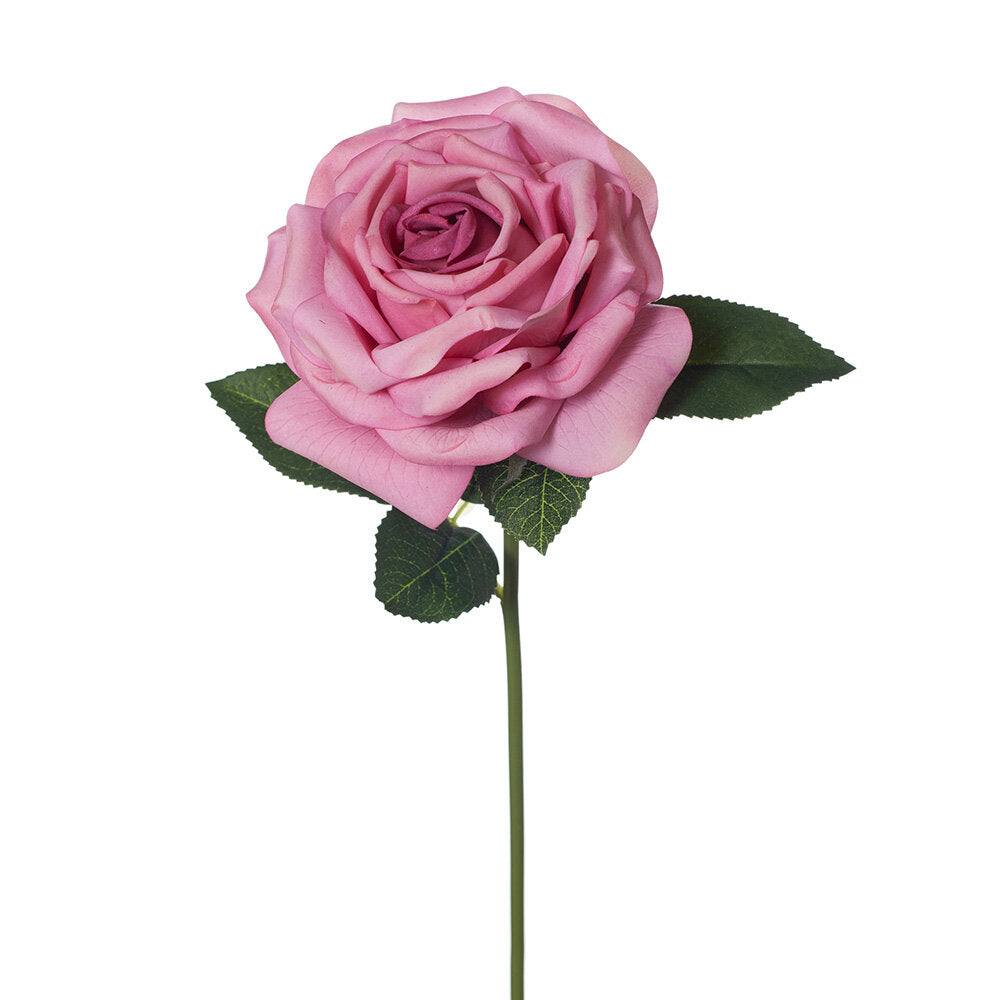 Rose Bella - Mauve 37cm