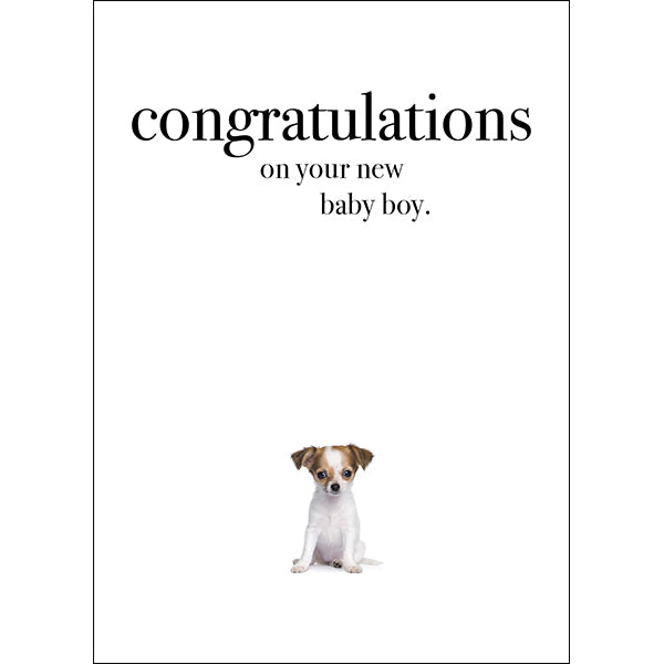 Animal Affirmations Card - Congratulations On Your New Baby Boy (Puppy)