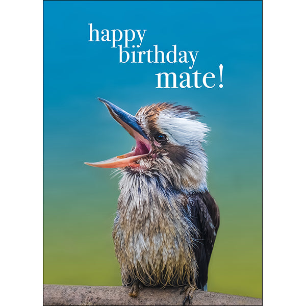 Animal Affirmations Card - Happy Birthday Mate! (Kookaburra)