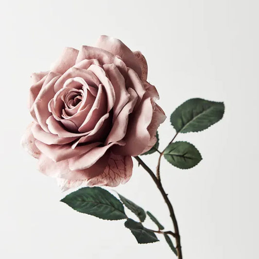Rose Madonna - Dusty Pink 67cm