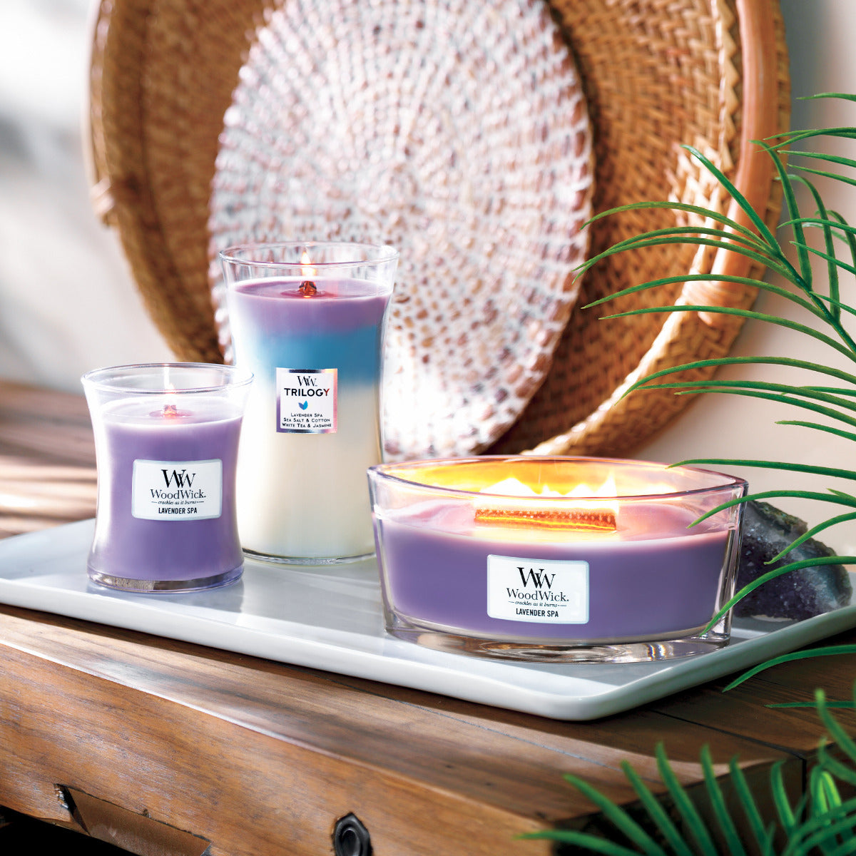WoodWick Large Trilogy Candle - Calming Retreat