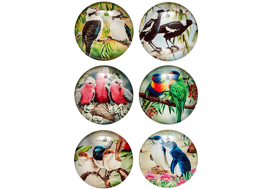 Aus Bird & Flora - Glass Magnet Assorted 6PK
