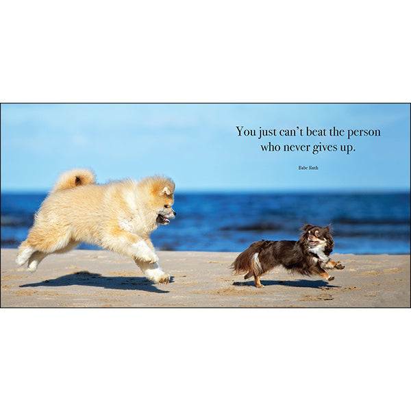 Flying Dogs - Inspirational Book