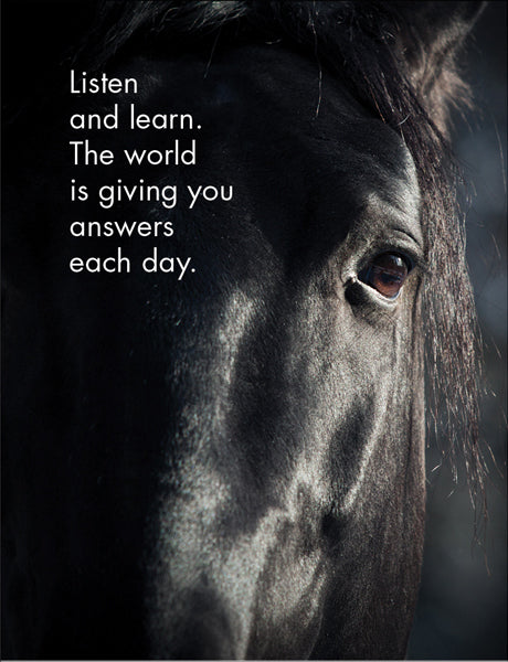 Little Affirmations Cards - Horse Sense