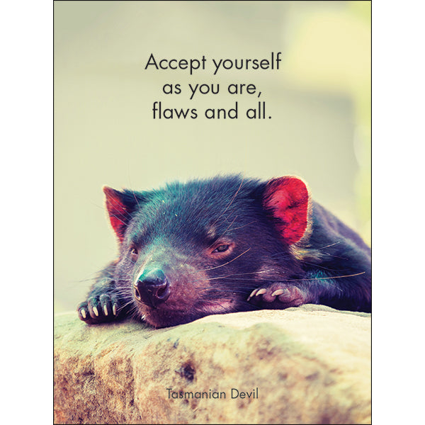 Little Affirmations Cards - Awesome Aussies