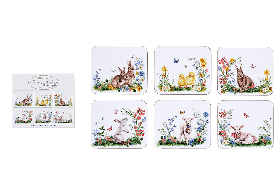 Morning Meadows 6PK Coasters