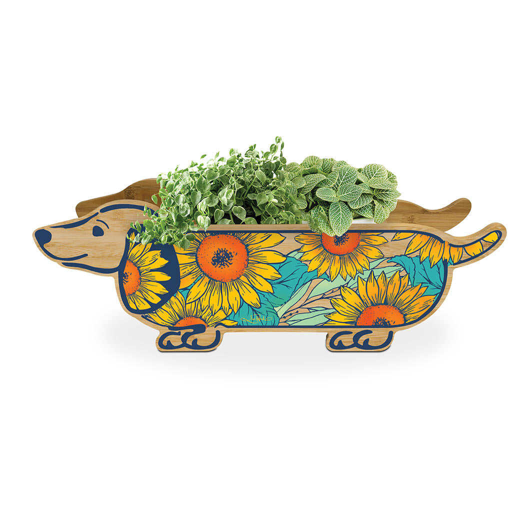 Planter Storage Box - Sunflower Dachshund
