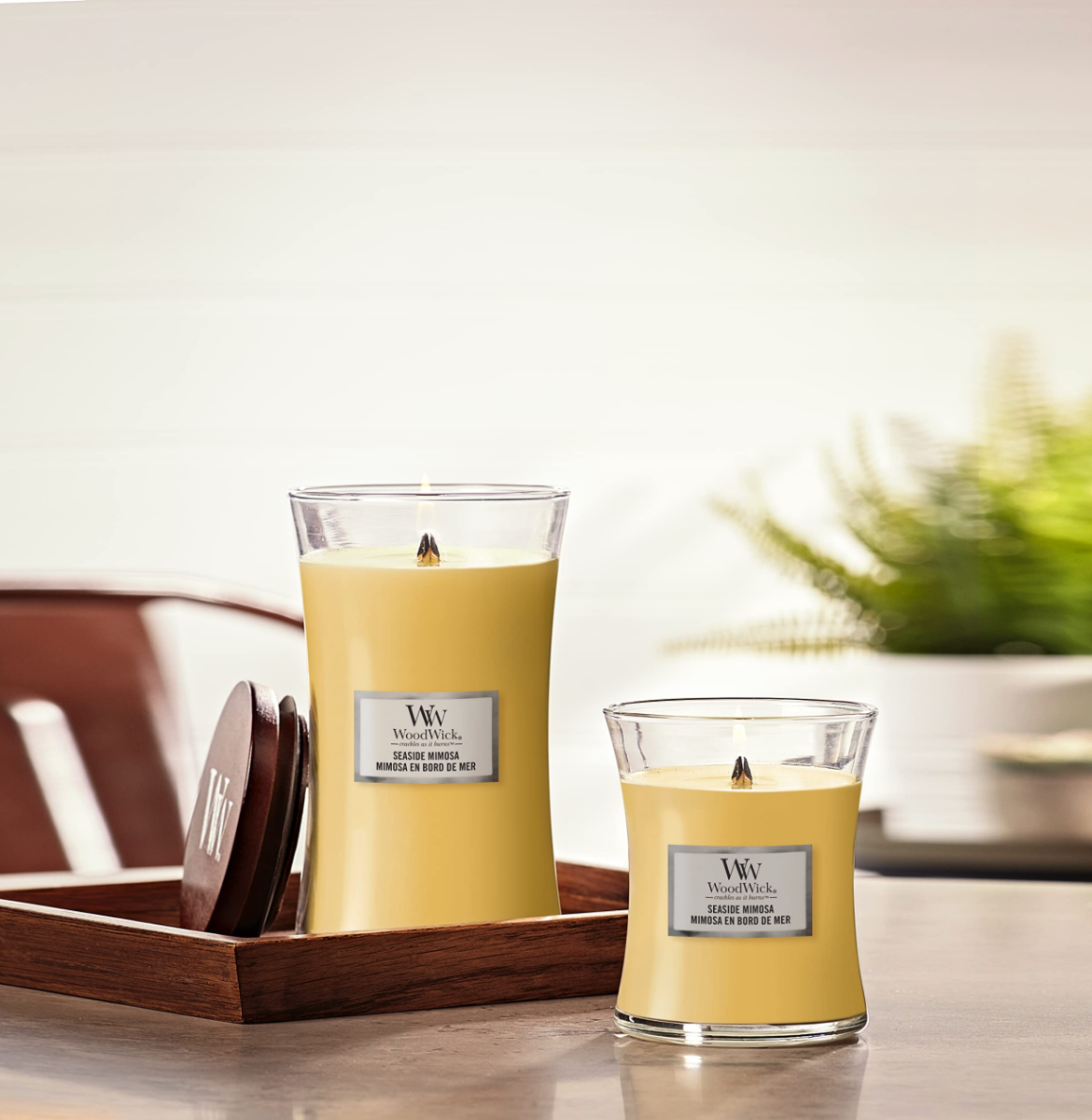 WoodWick Medium Candle - Seaside Mimosa