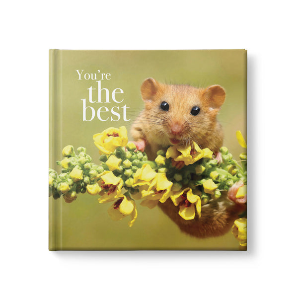 You’re The Best - Inspirational Book