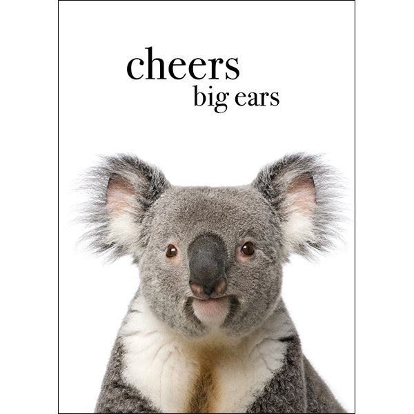 Animal Affirmations Card - Cheers Big Ears (Koala)