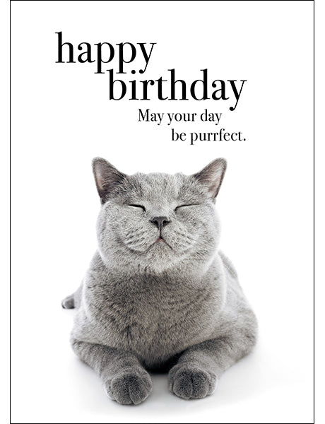 Animal Affirmations Card - Happy Birthday (Cat)
