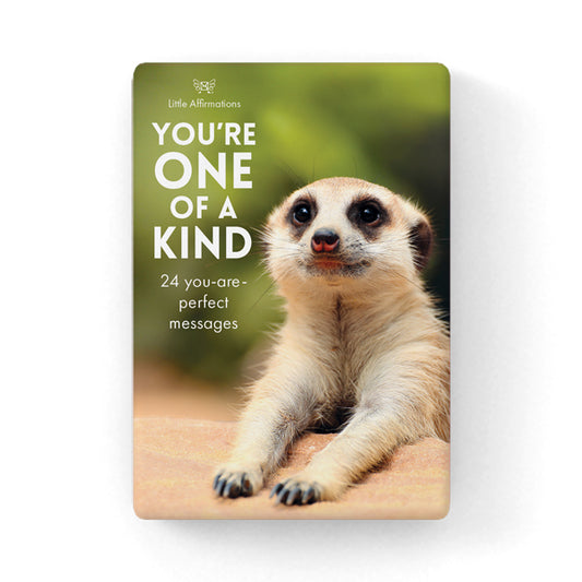 Little Affirmations Cards - You’re One of a Kind