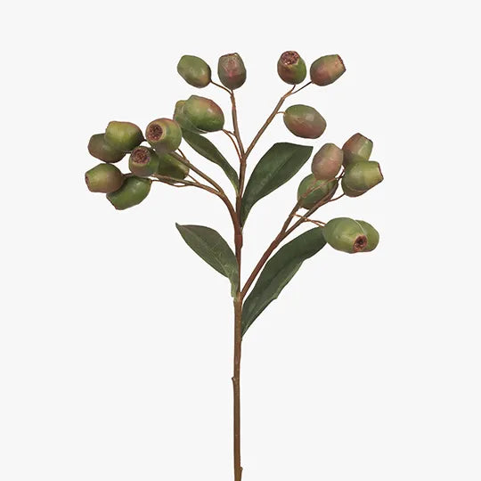 Eucalyptus Gum Nut Spray 51cm