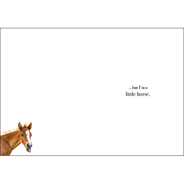 Animal Affirmations Card - I Could Sing You Happy Birthday (Horse)