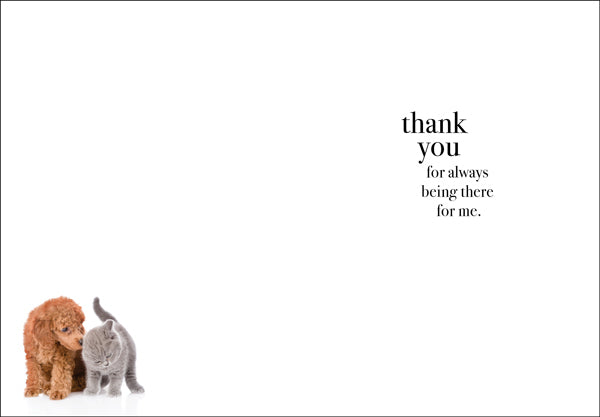 Animal Affirmations Card - When I Count My Blessings (Puppy & Kitten)