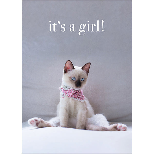 Animal Affirmations Card - It’s A Girl! (Kitten)
