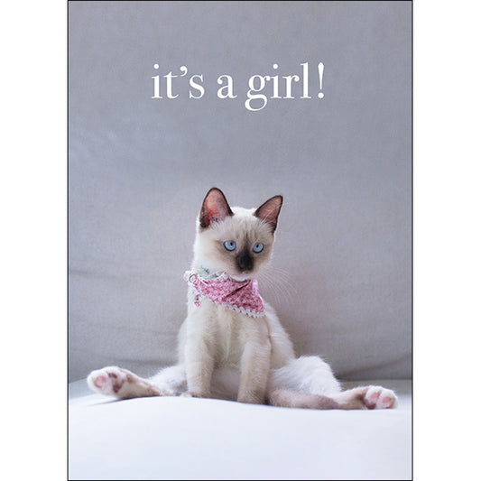 Animal Affirmations Card - It’s A Girl! (Kitten)