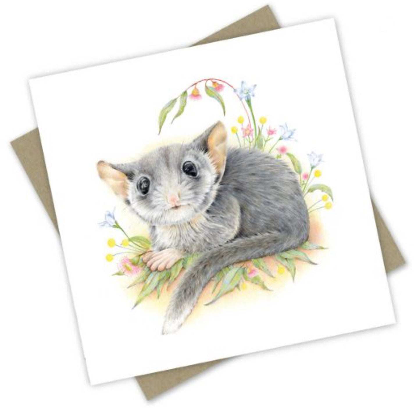 Card - Australian Collection: Leadbeater’s Possum