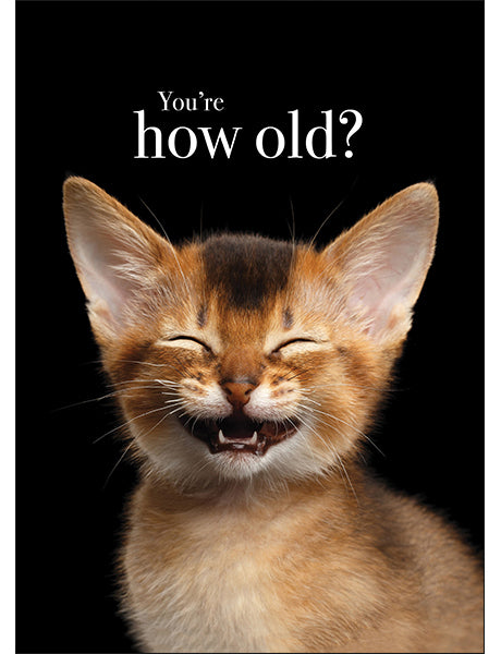 Animal Affirmations Card - You’re How Old? (Kitten)