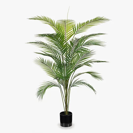 Palm Parlour - Green 126cm