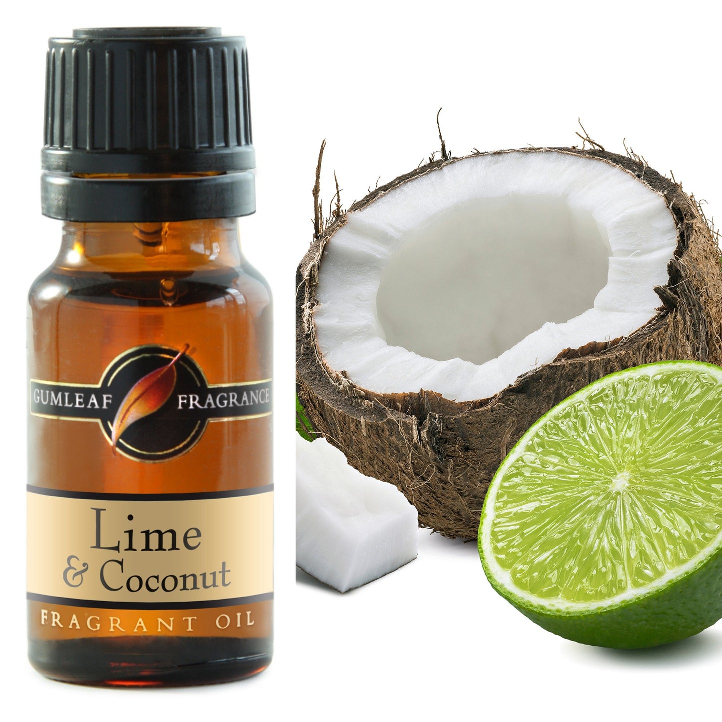 Fragrance Oil - Lime & Coconut